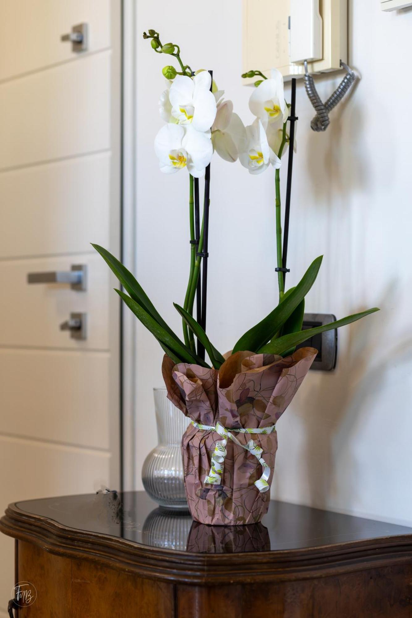 Santa Gilla Apartment Cagliari Ngoại thất bức ảnh